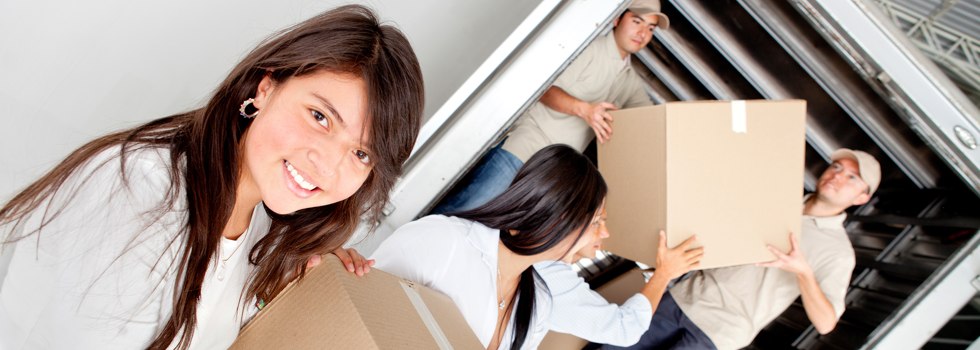Professional Removalists Quinalow